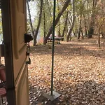 Tisza Wild 2 * Szeged