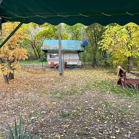 Tisza Wild 2