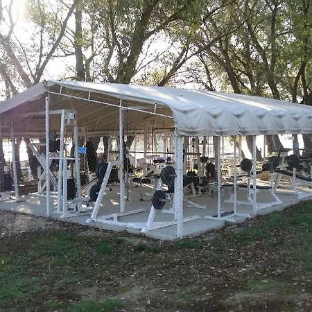 Tisza Wild 2 *